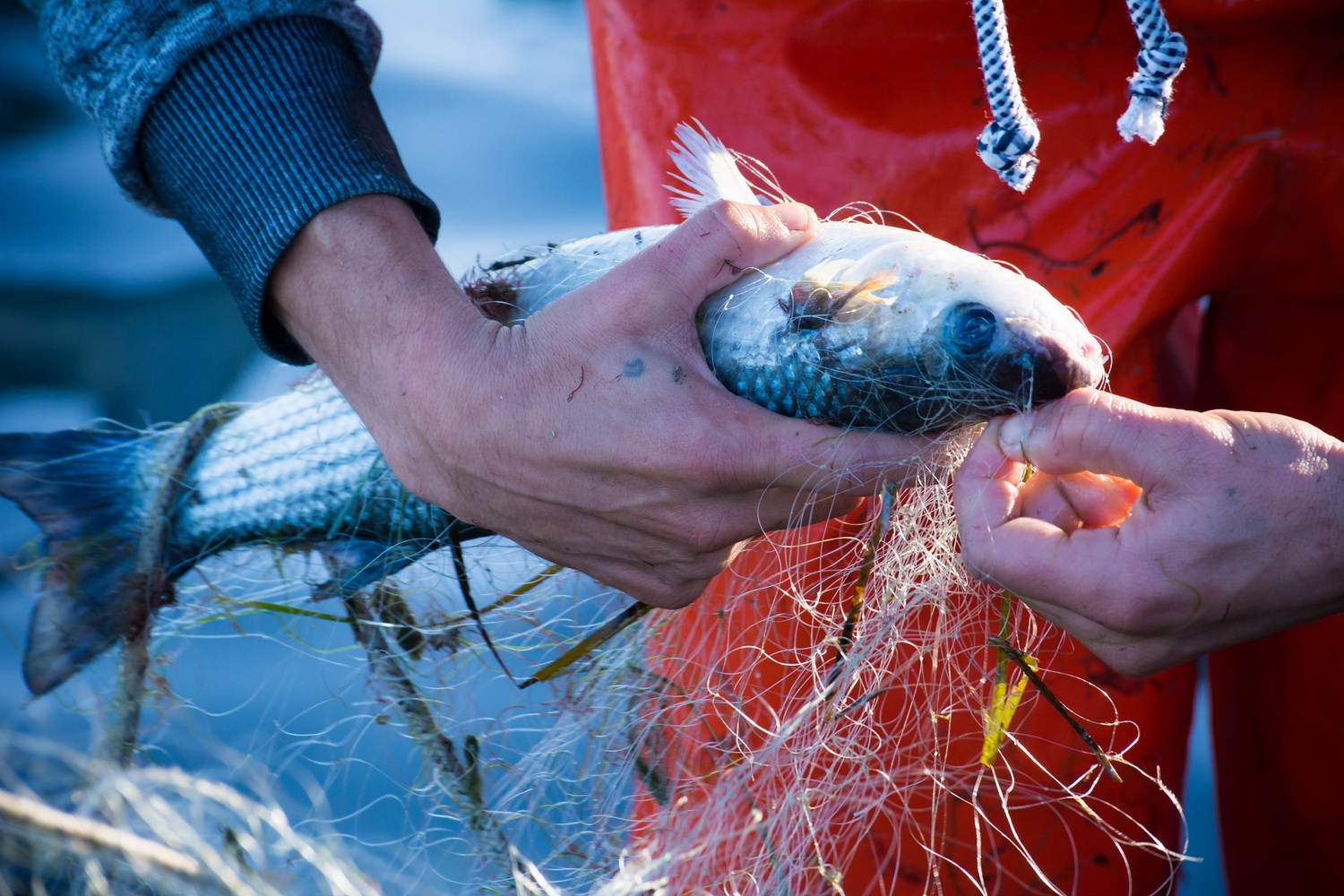 La Junta anticipará ayudas a los pescadores para frenar la crisis por la escalada de los costes